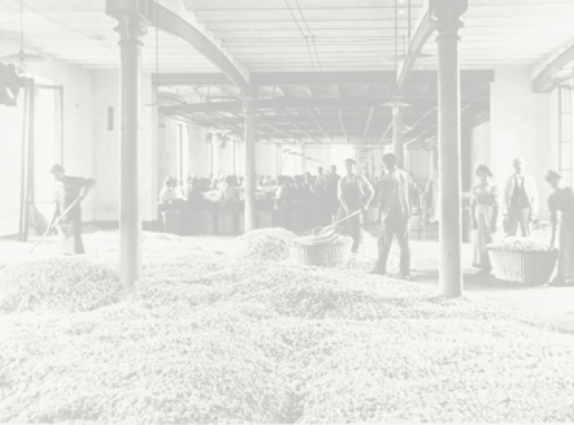 LavendelProduktion.