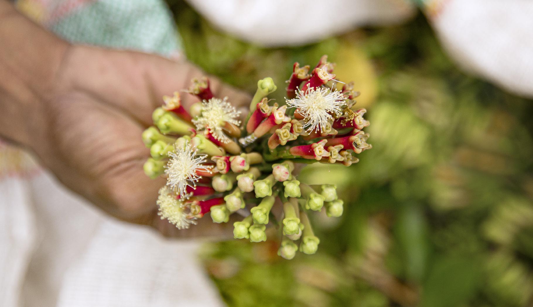 05年_wertschoepfung