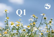 交易更新2021年1月至3月