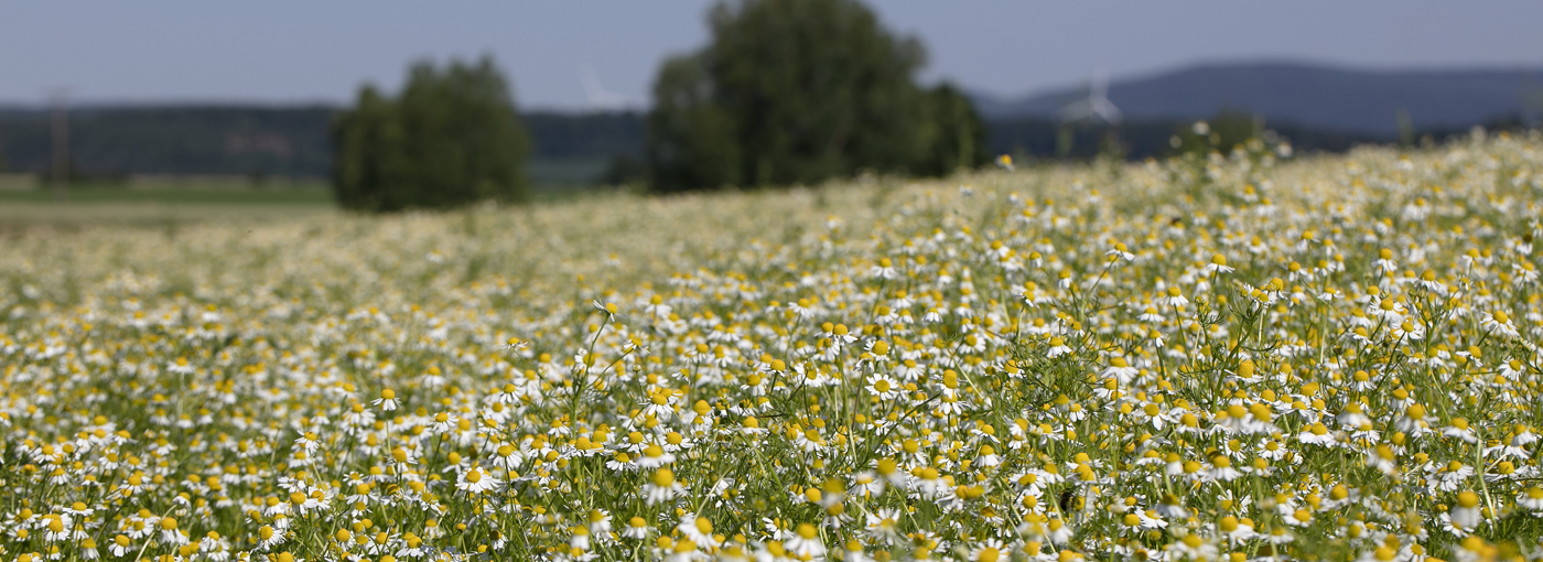 Unser Ziel:KlimaPositive ab 2030