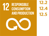 SDG 12.