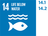 SDG 14.