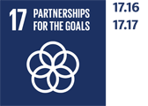 SDG 17.