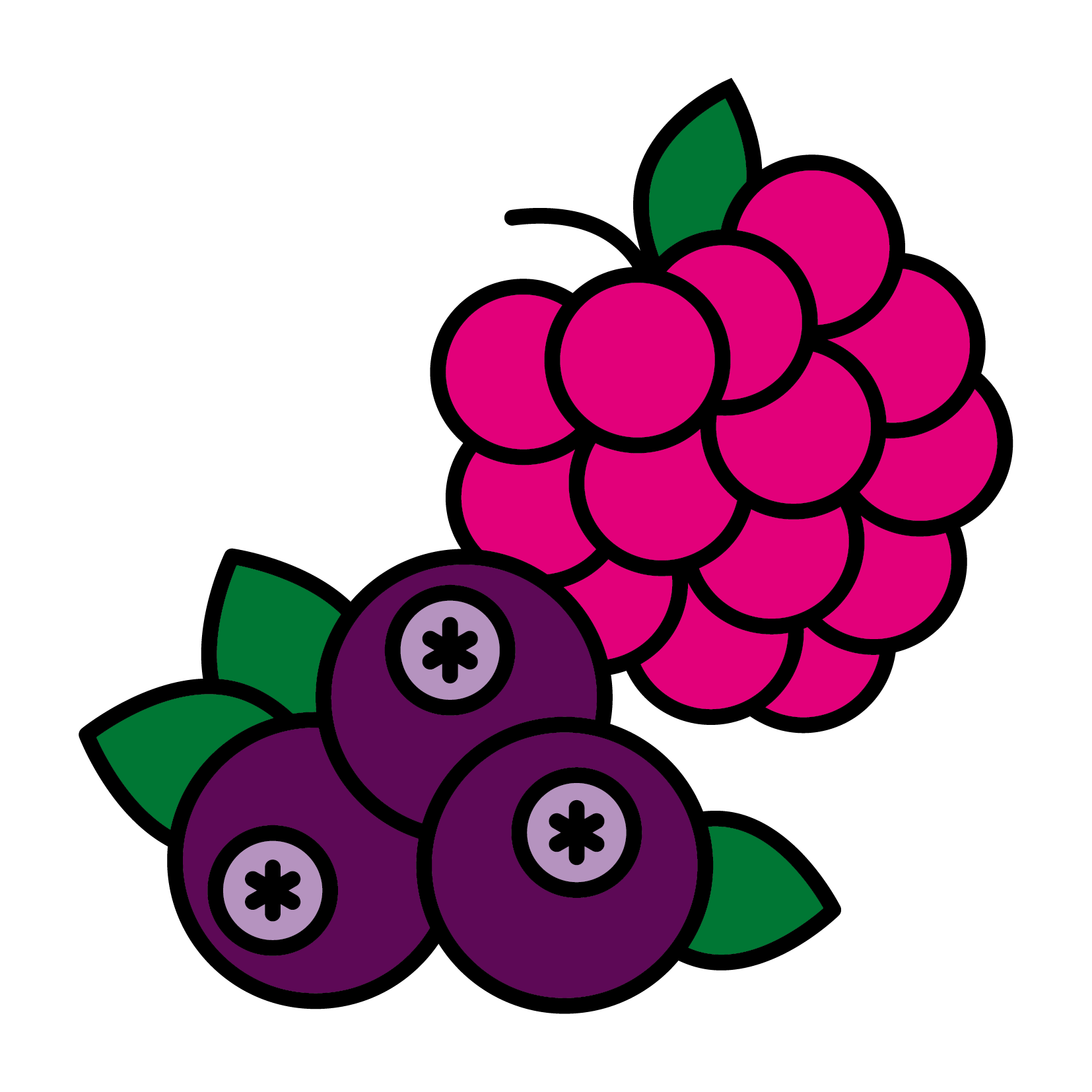 果蔬粉