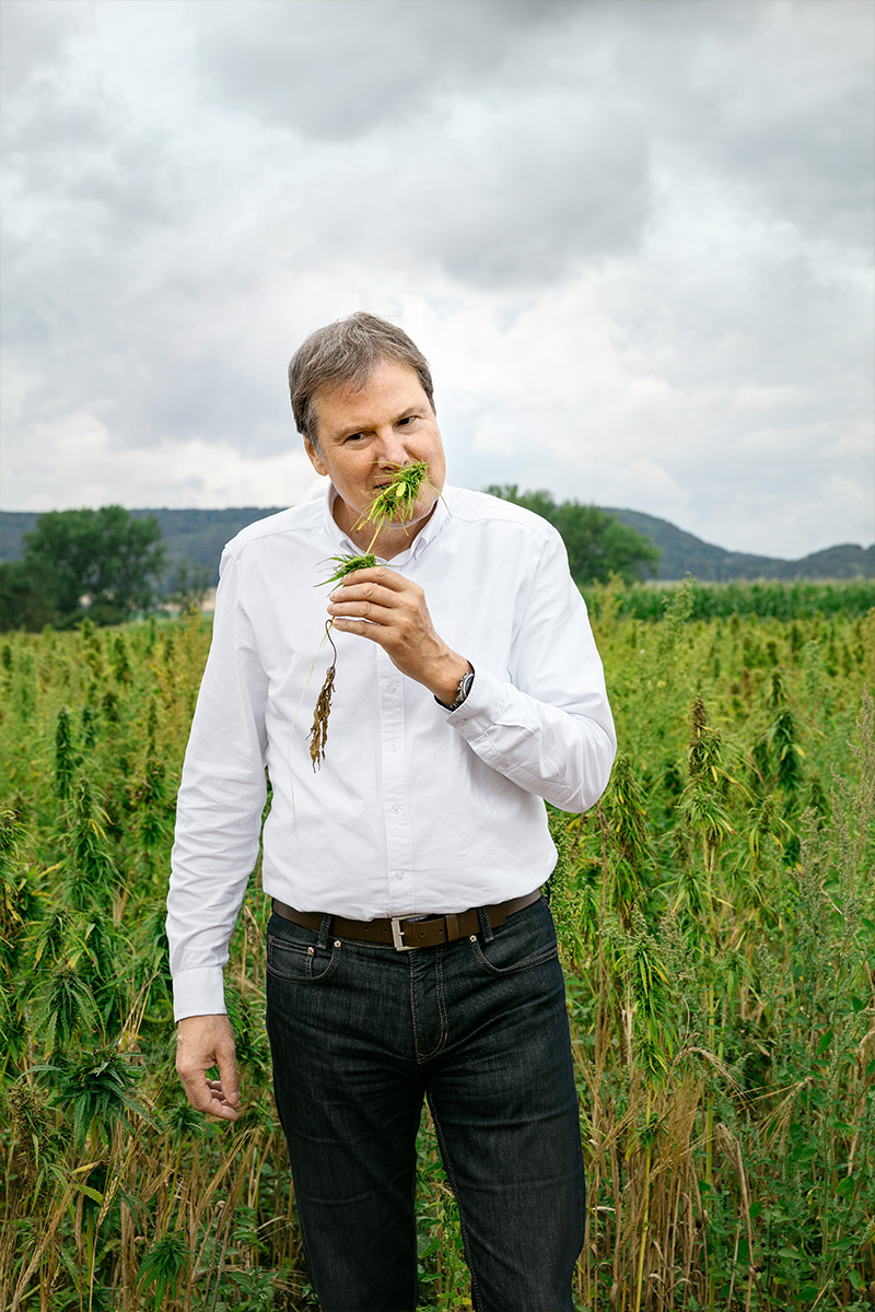 Symrise首席执行官Heinz-Jürgen Bertram mit einem Hanfpflanze在einem Feld
