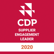 CDP 2020年