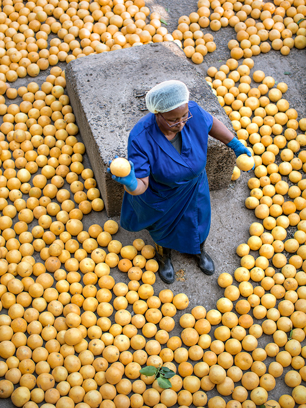 stehend夫人mit ganz vielen Zitrusfrüchte嗯，你
