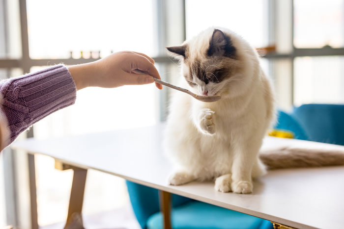 Futterakzeptanz冯Heimtiernahrung
